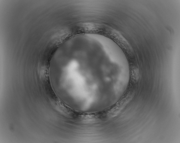 X0000113000419200908271351