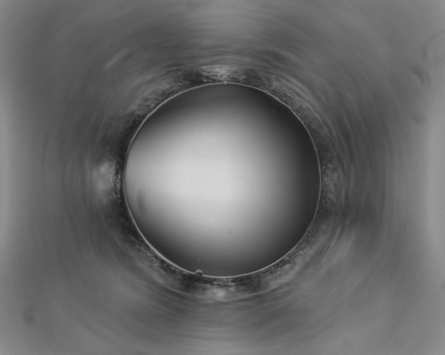 X0000113000420200908271351