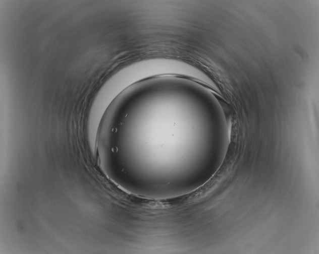 X0000113000421200908271351