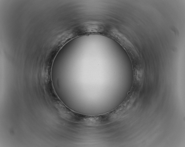 X0000113000422200908271351