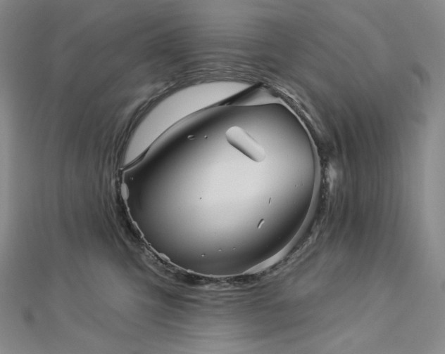 X0000113000423200908271351