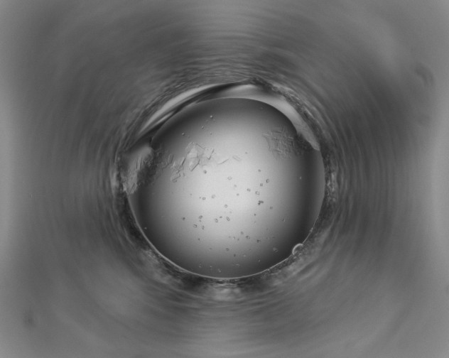 X0000113000424200908271351