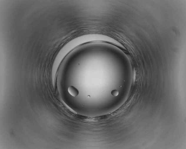 X0000113000425200908271351