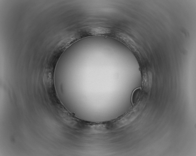 X0000113000426200908271351