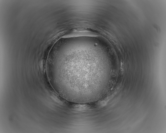 X0000113000428200908271351