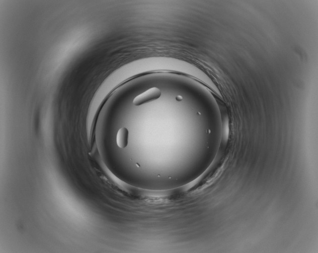 X0000113000429200908271351