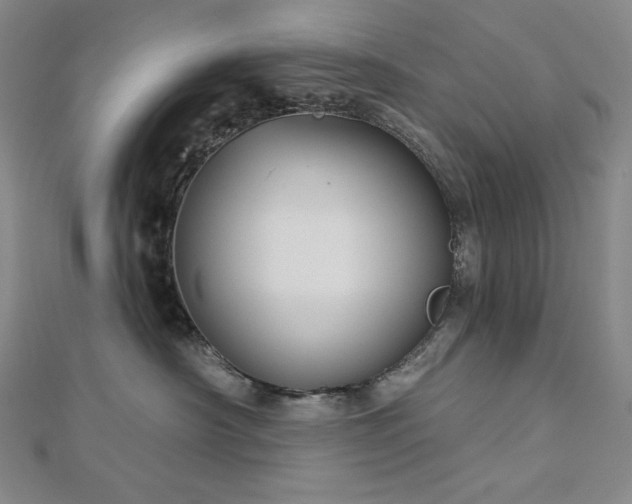 X0000113000430200908271351