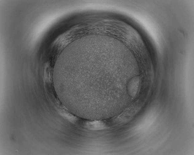 X0000113000431200908271351