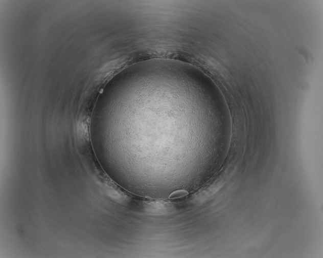 X0000113000432200908271351