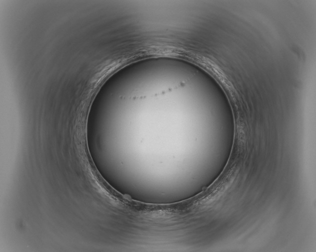 X0000113000433200908271351