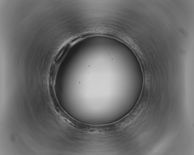 X0000113000434200908271351
