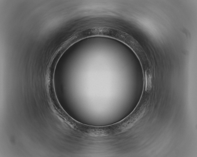 X0000113000435200908271351