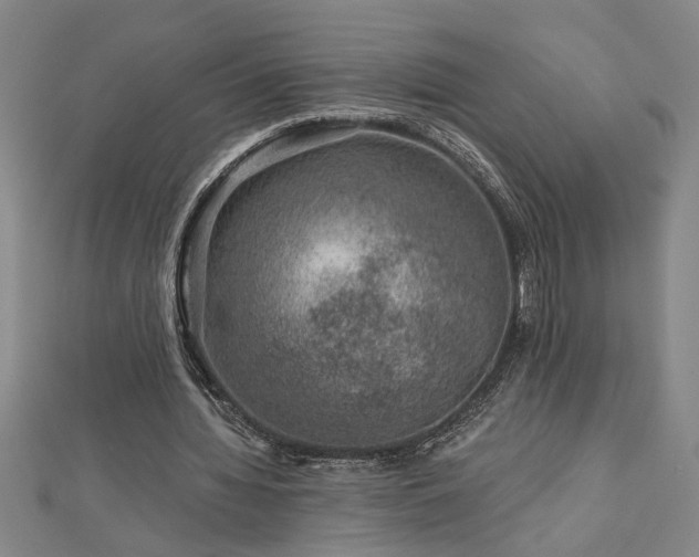 X0000113000436200908271351