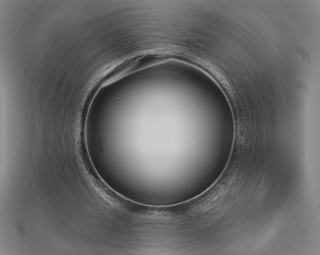 X0000113000437200908271351