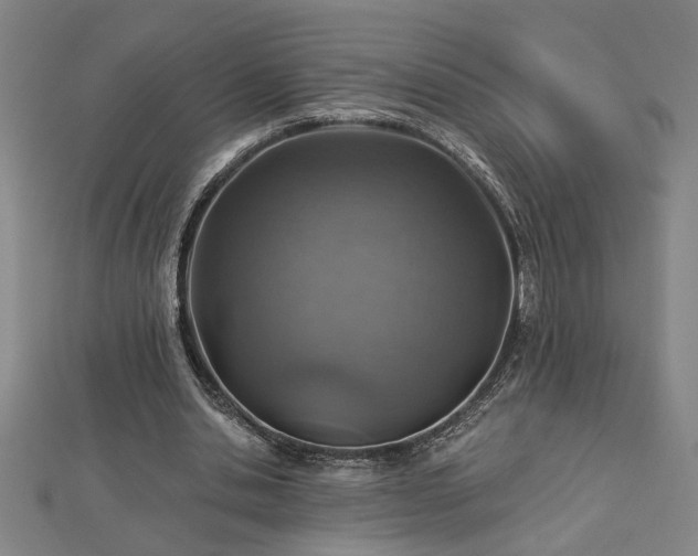 X0000113000438200908271351