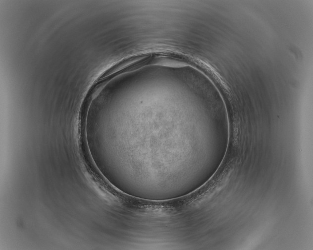X0000113000439200908271351