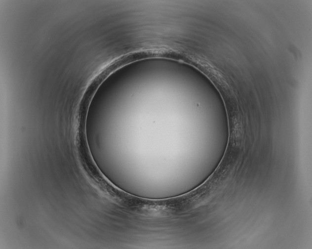 X0000113000440200908271351