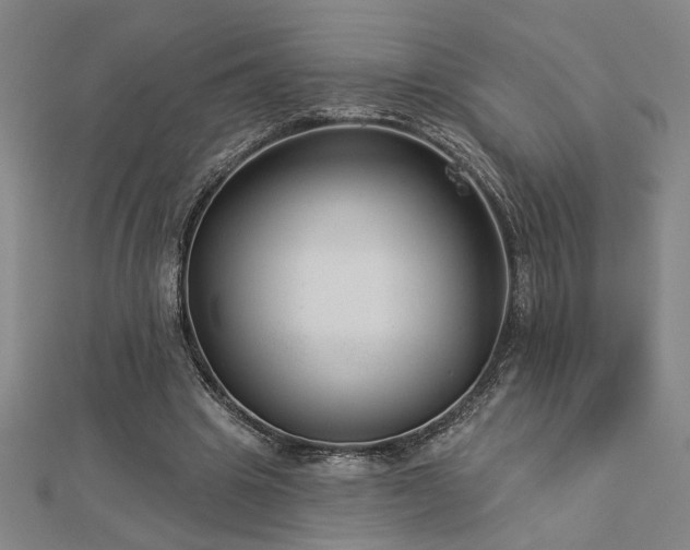 X0000113000441200908271351