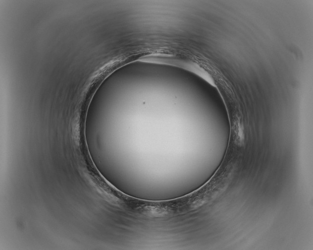 X0000113000442200908271351
