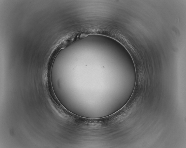X0000113000443200908271351