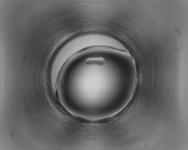 X0000113000444200908271351