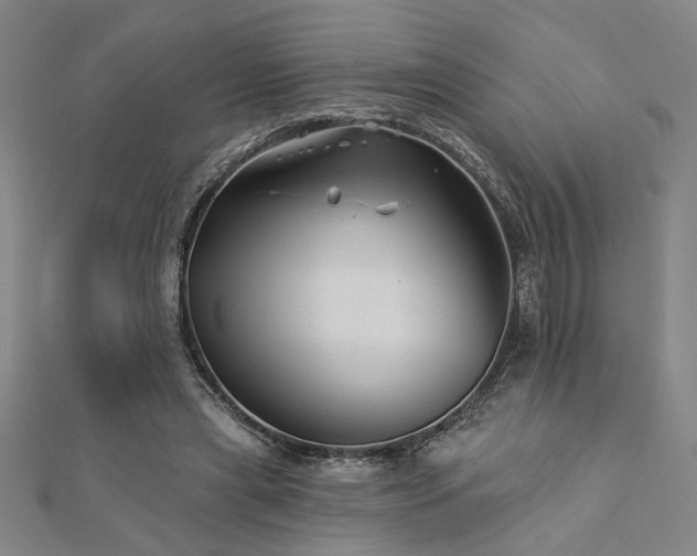 X0000113000445200908271351