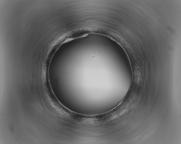X0000113000446200908271351