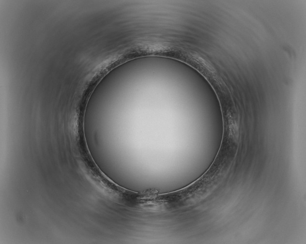 X0000113000447200908271351