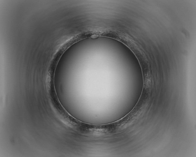 X0000113000448200908271351