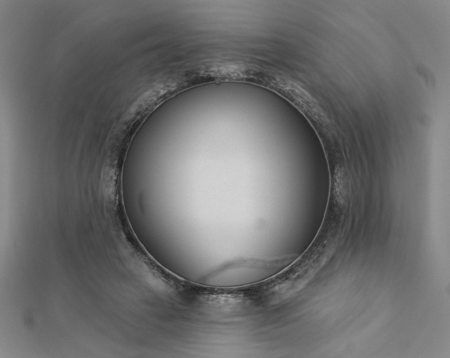 X0000113000449200908271351