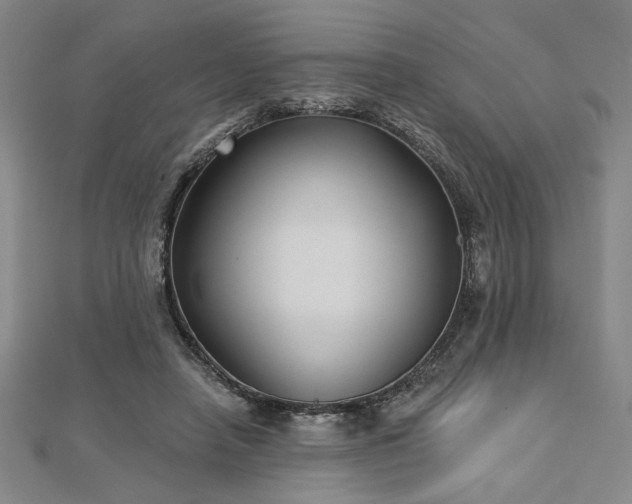 X0000113000450200908271351