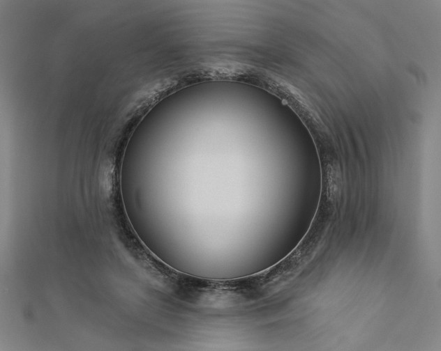 X0000113000451200908271351