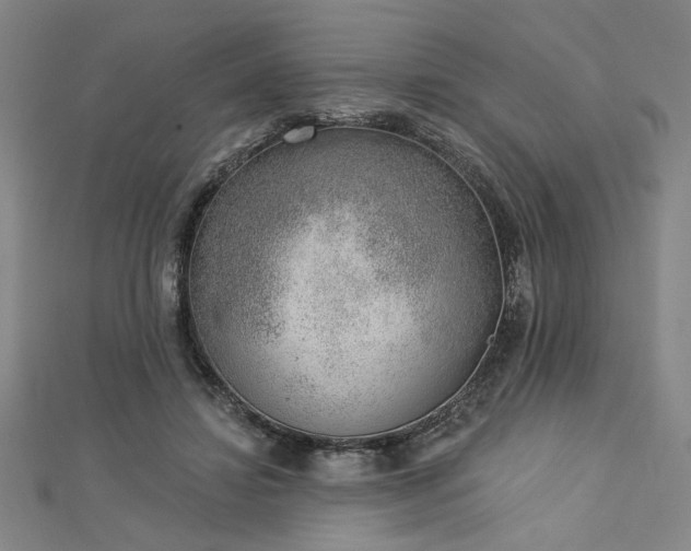 X0000113000452200908271351