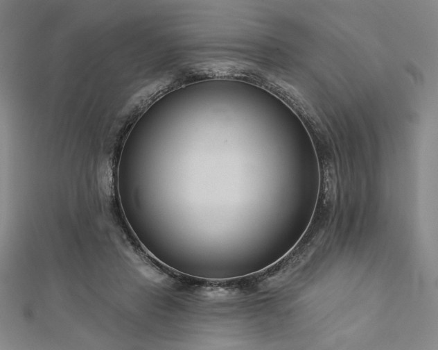 X0000113000453200908271351