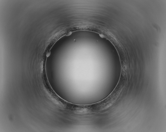 X0000113000454200908271351