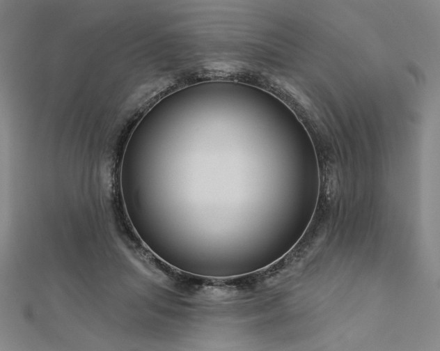 X0000113000455200908271351