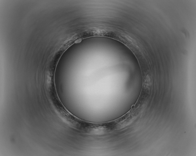 X0000113000456200908271351