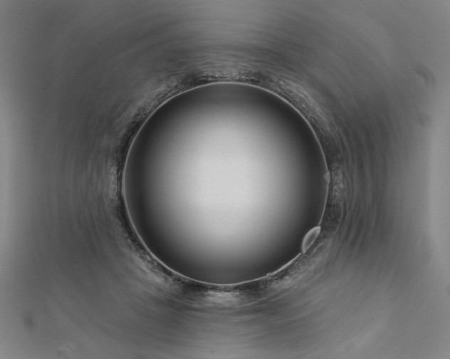 X0000113000457200908271351
