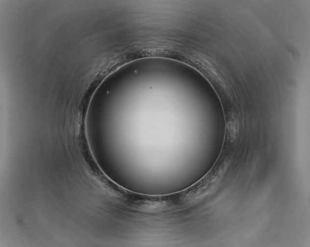 X0000113000458200908271351