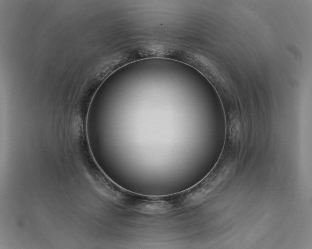 X0000113000459200908271351