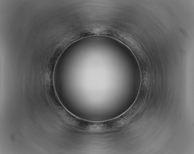 X0000113000461200908271351