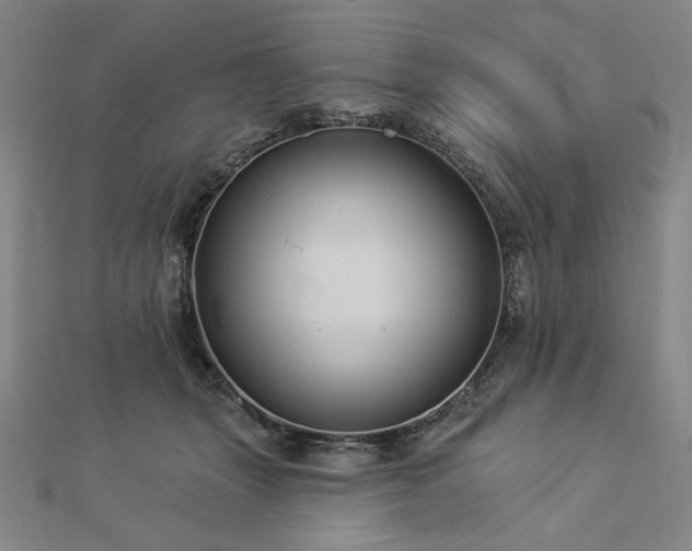 X0000113000463200908271351