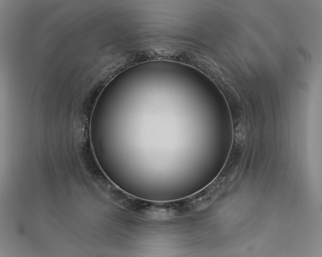X0000113000464200908271351