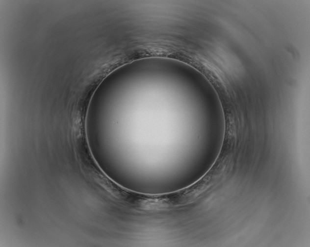 X0000113000465200908271351
