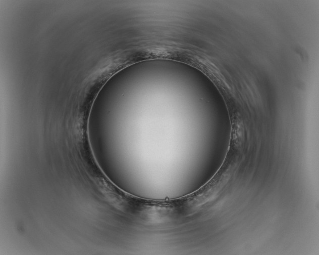 X0000113000466200908271351