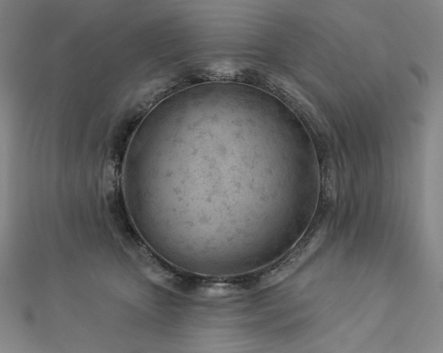 X0000113000467200908271351