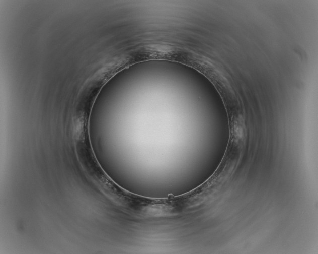 X0000113000468200908271351