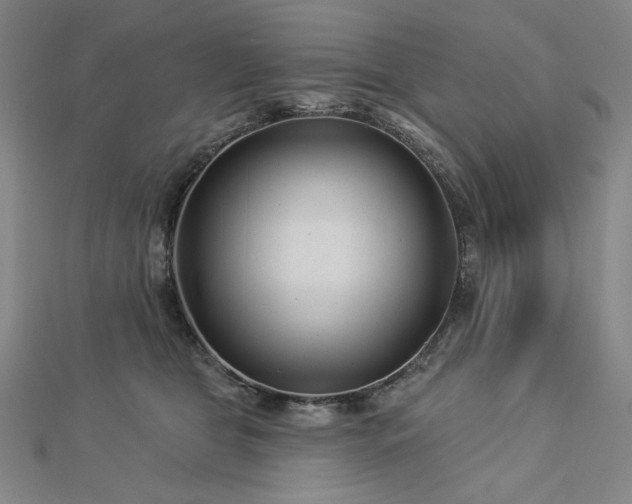 X0000113000469200908271351