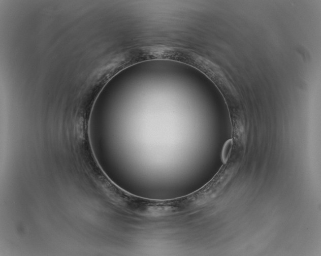 X0000113000470200908271351