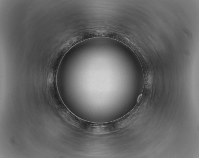 X0000113000472200908271351